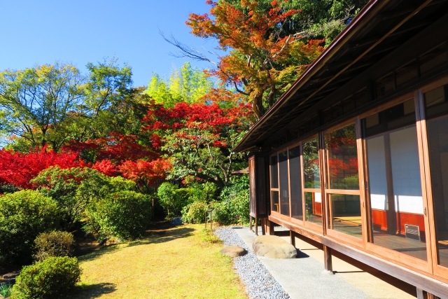 紅葉と縁側