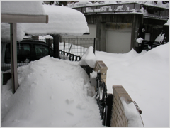 【雪国必見】雪や台風でカーポートが潰れても火災保険が使える事も！？